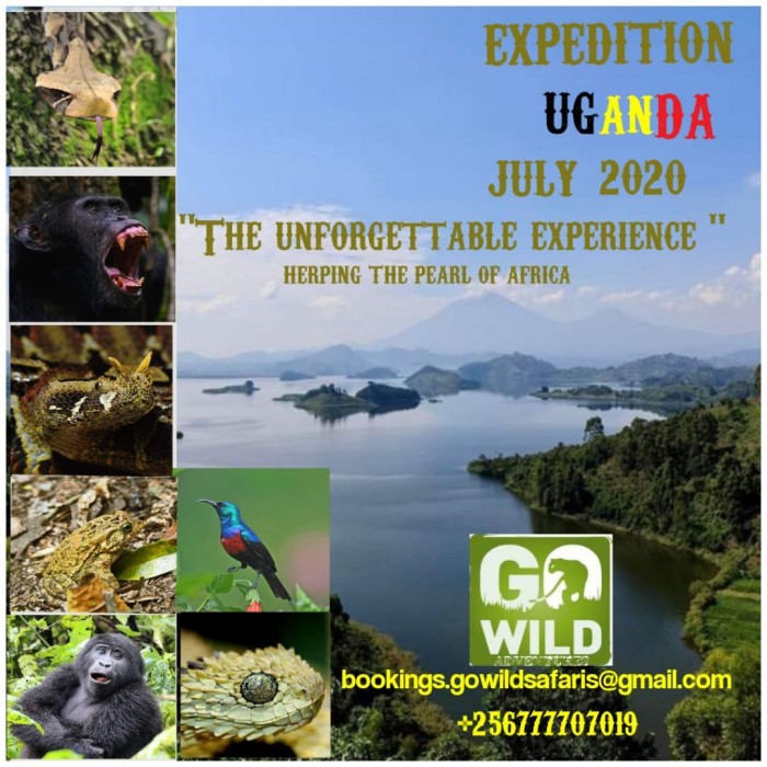 Expedition Uganda July 2020